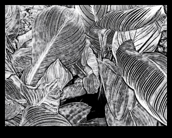 Linii ritmice: crearea fluxului în desene abstracte