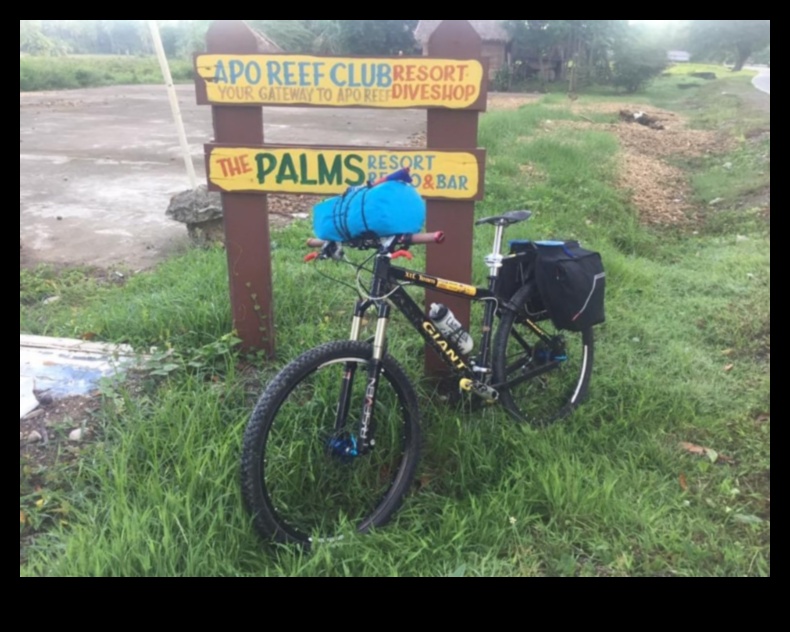 Cronici de ciclism în oraș: Narațiuni de la bicicliștii care fac naveta