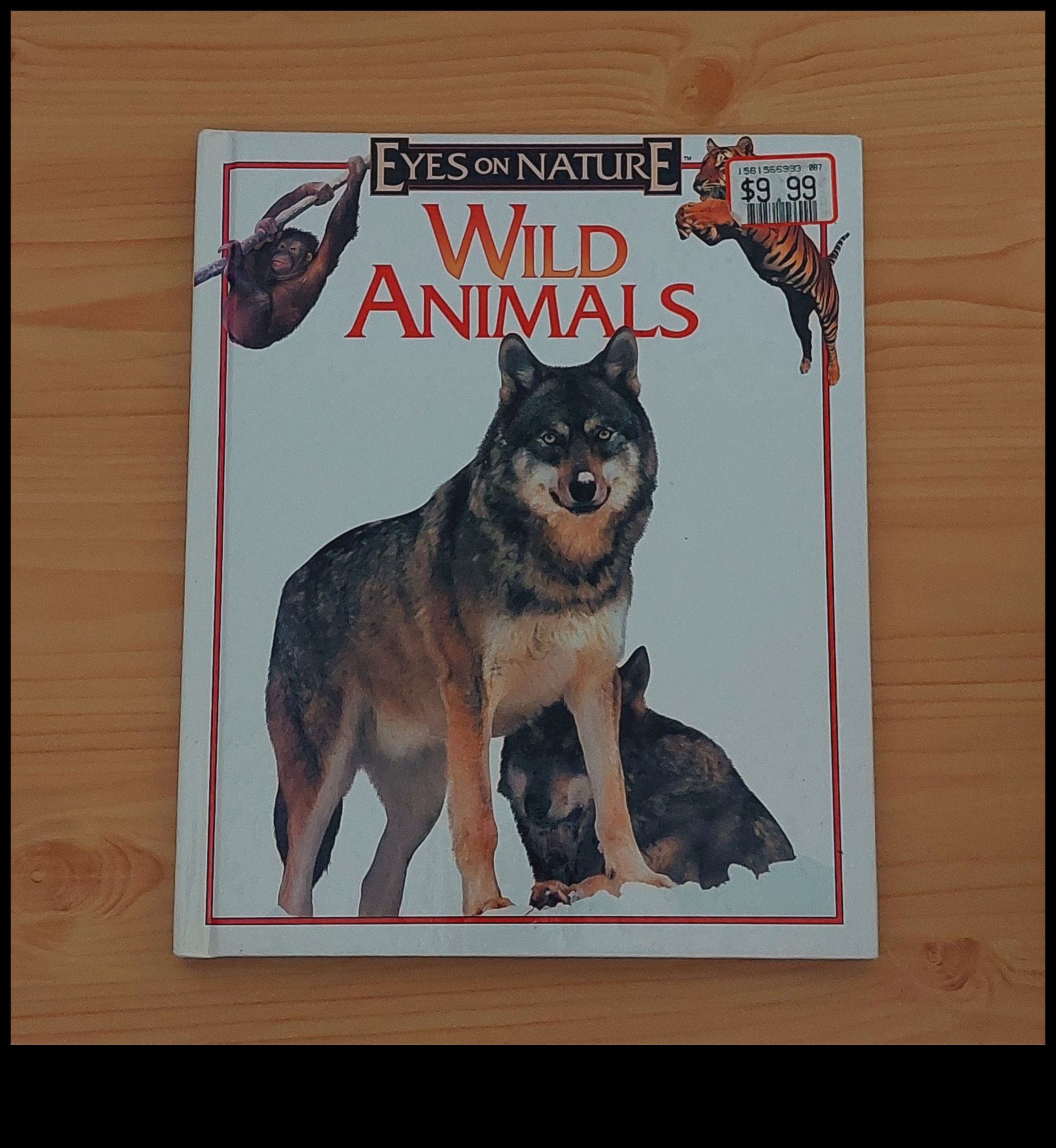 Ink Wilderness: Chronicles Crafted with Wildlife Naratives