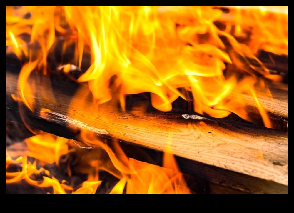 Trosnetul și zgomotul arderii lemnului 4 Arta arderii lemnului: Meșteșuguri cu tehnici de pirografie