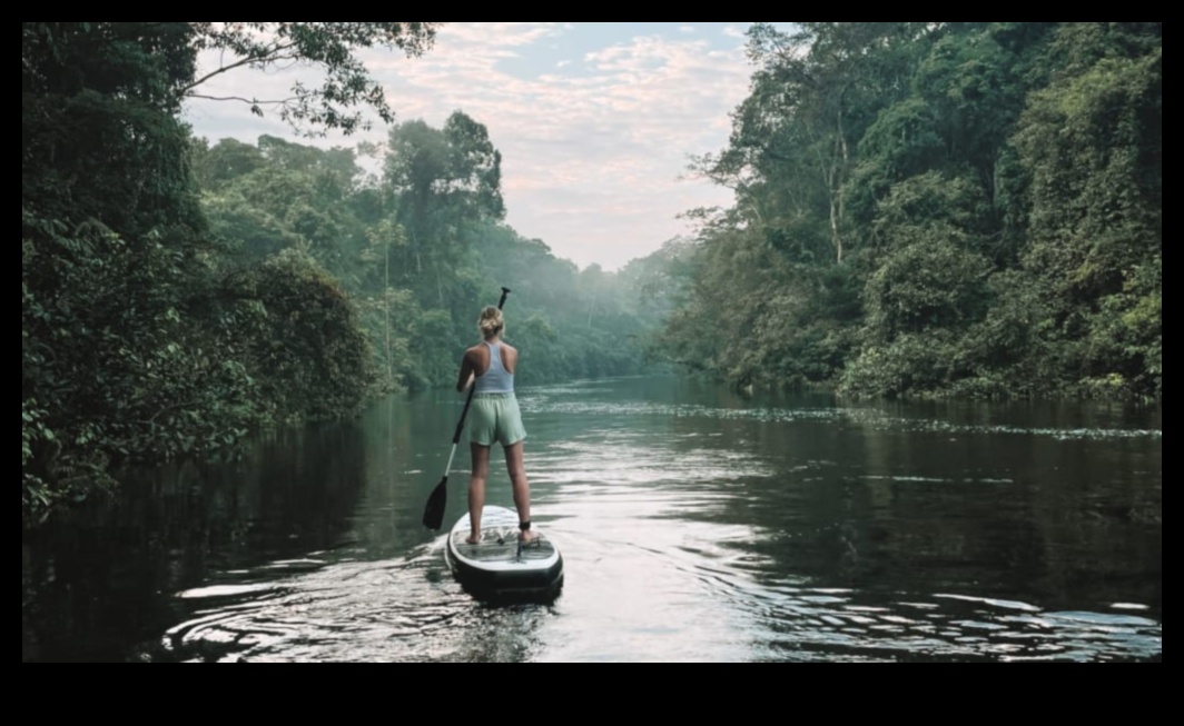 Escapade ecologice: aventuri în transportul public pentru pasionații de natură