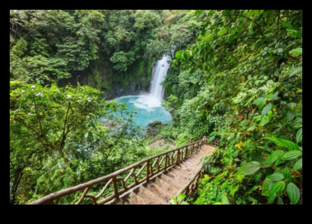 Escapade ecologice: aventuri în transportul public pentru pasionații de natură