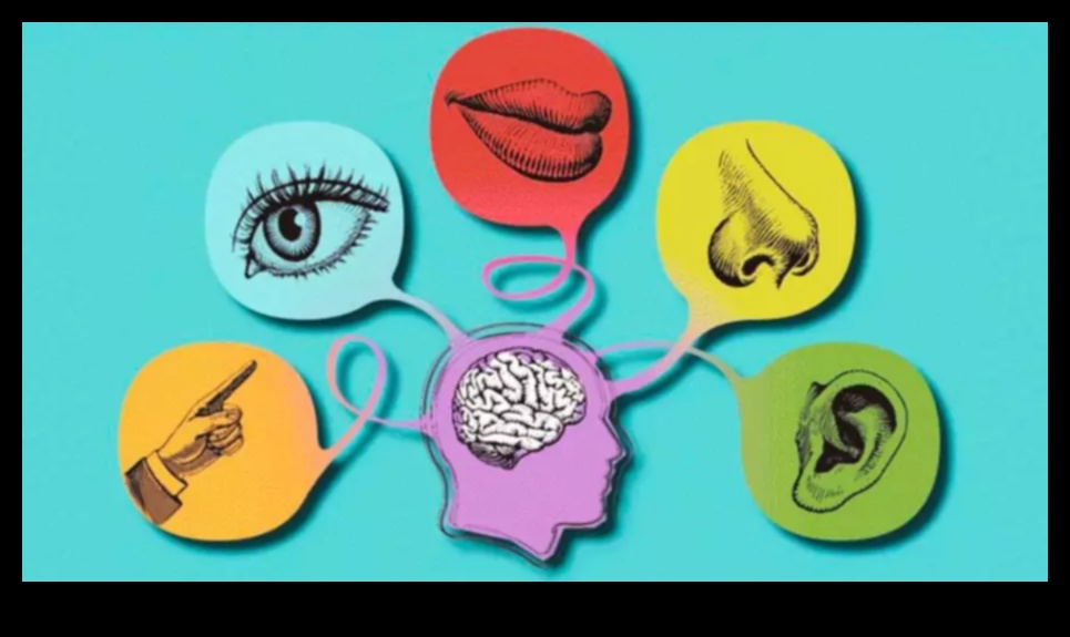 Realități senzoriale care transmit atingere în expresii artistice 3 Realități senzoriale: transmiterea atingerii în expresii artistice