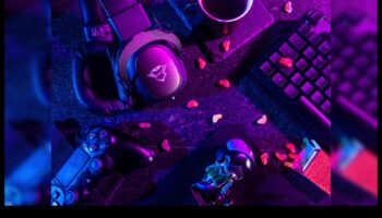 Jurnalele de jocuri: accesorii care vă îmbunătățesc jurnalul în joc