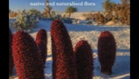 Paleta naturii: Capturarea florei și faunei cu marker de culori