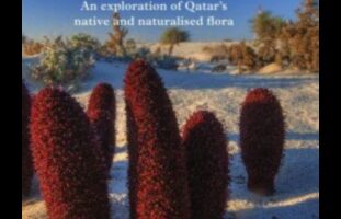 Paleta naturii: Capturarea florei și faunei cu marker de culori