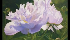 Frumusețe efemeră: desenând esența naturii moarte