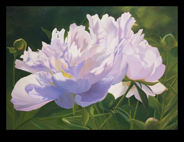 Frumusețe efemeră: desenând esența naturii moarte