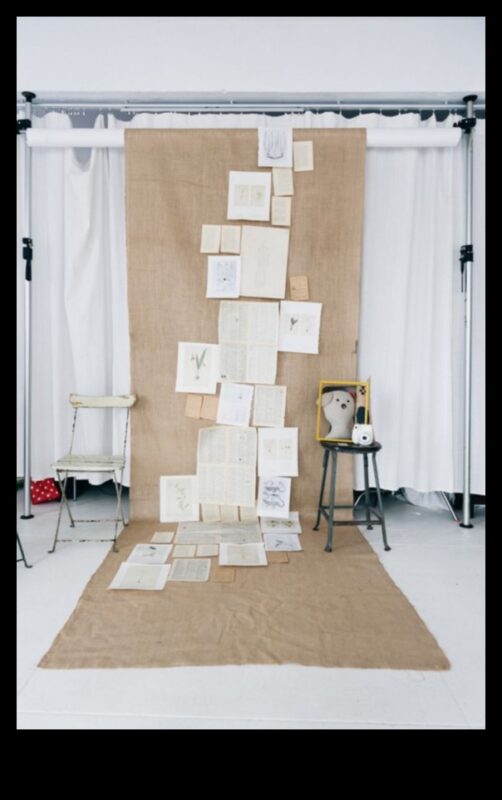 Fundaluri de fotografie DIY: crearea de fotografii cu aspect profesional