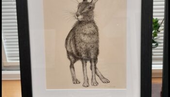 Desenarea umbrelor: explorarea contrastului în arta cu cerneală