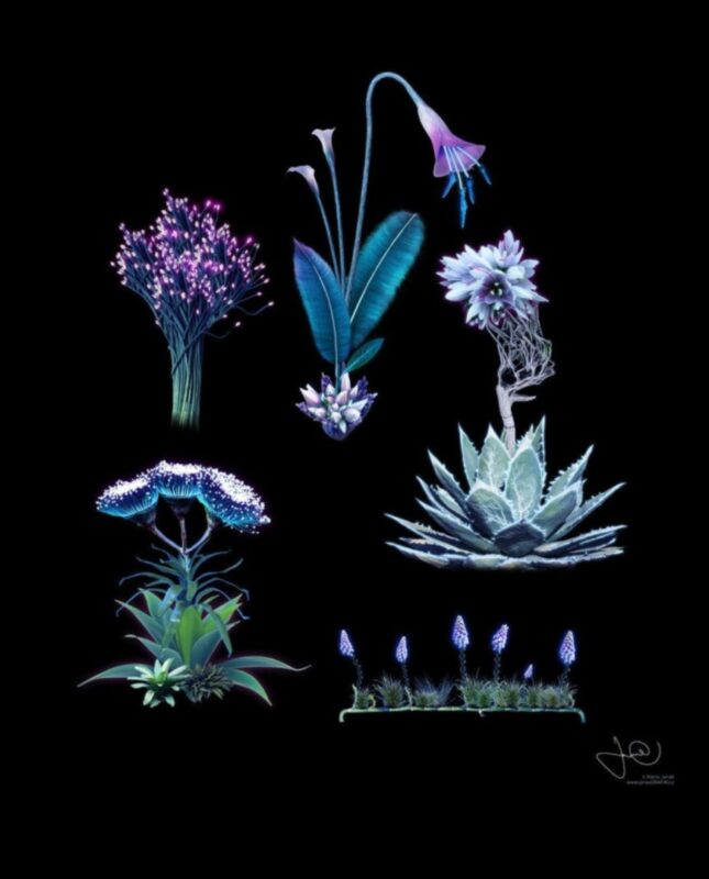 Flore futuriste: amprentele botanice iau o turnură SF