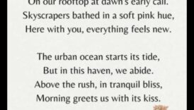 Sunrise Serenade: Începe-ți ziua cu Bohemian Grace