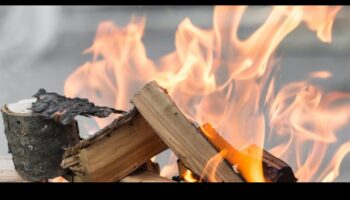 Arta arderii lemnului: Meșteșuguri cu tehnici de pirografie