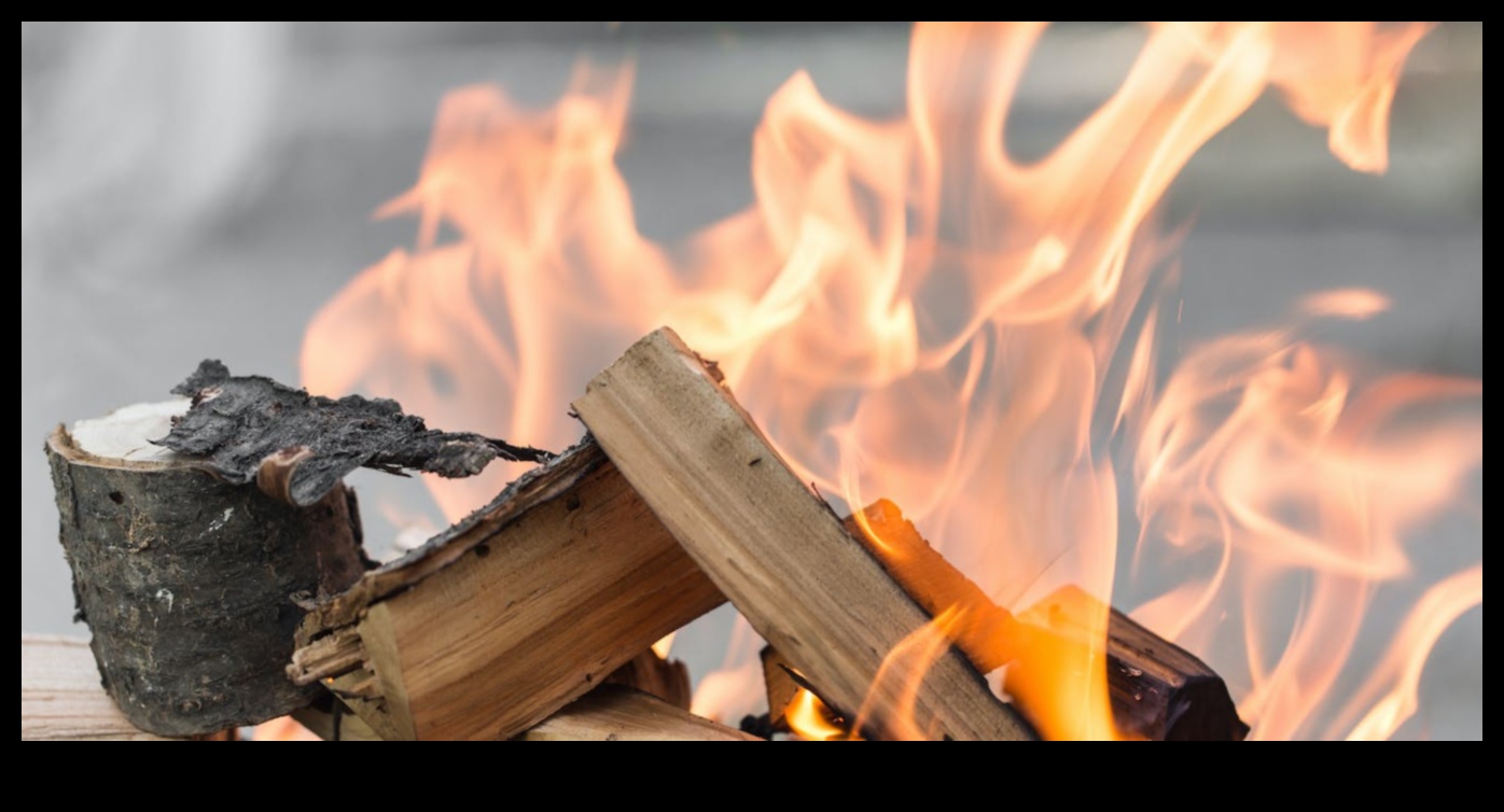 Trosnetul și bubuitul arderii lemnului 1 Arta arderii lemnului: Meșteșuguri cu tehnici de pirografie